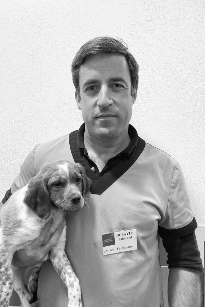 Edouard DEBAYLE
Vétérinaire associé
ENVT 2002
CES de traumatologie ostéo-articulaire et orthopédie animale
DU de micro chirurgie de la faculté de médecine de Bordeaux