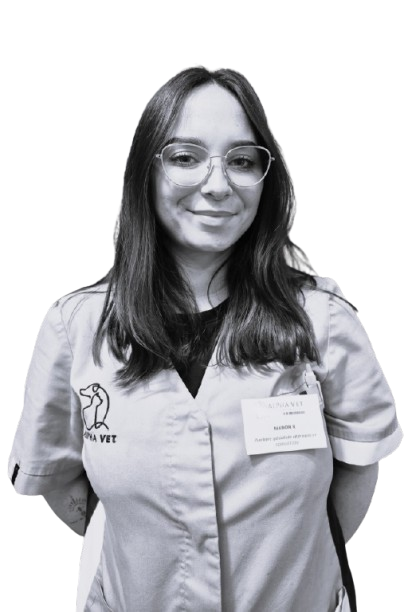 IMG-20251023-WA0008_Nb-removebg-preview